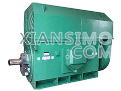 YRKK5002-10/315KWYXKK(2极)高效高压电机技术参数