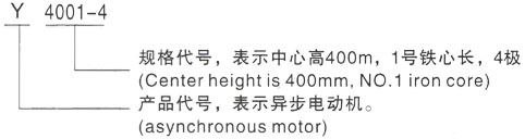 西安泰富西玛Y系列(H355-1000)高压YRKK5002-10/315KW三相异步电机型号说明